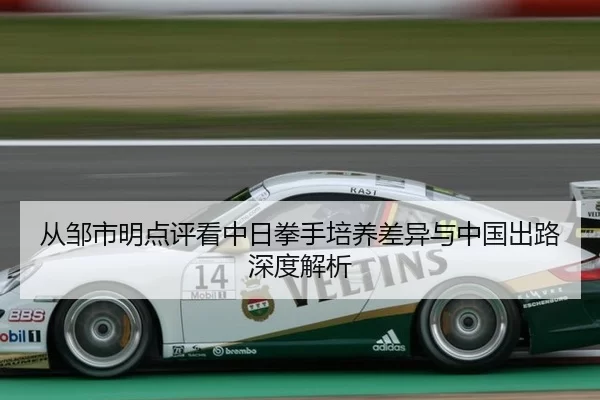 从邹市明点评看中日拳手培养差异与中国出路深度解析